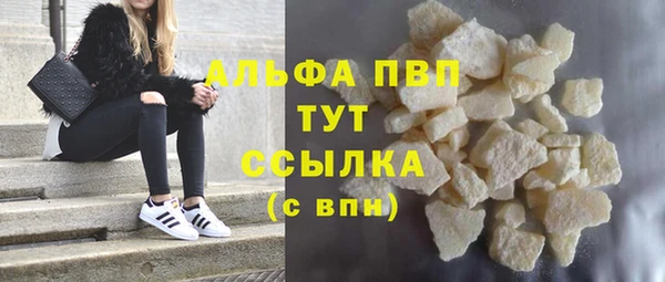 гашик Осташков