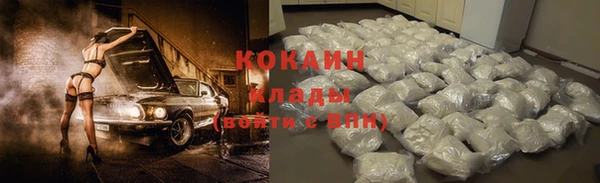 гашик Осташков
