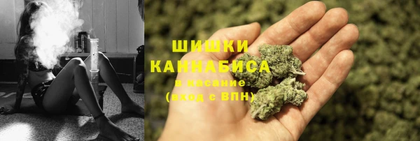 гашик Осташков