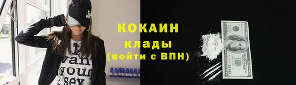 гашик Осташков