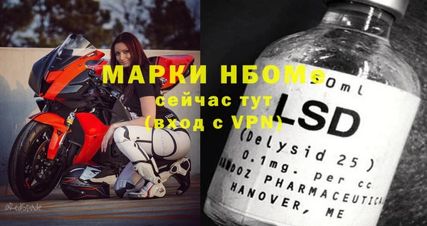 гашик Осташков