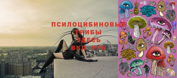 гашик Осташков
