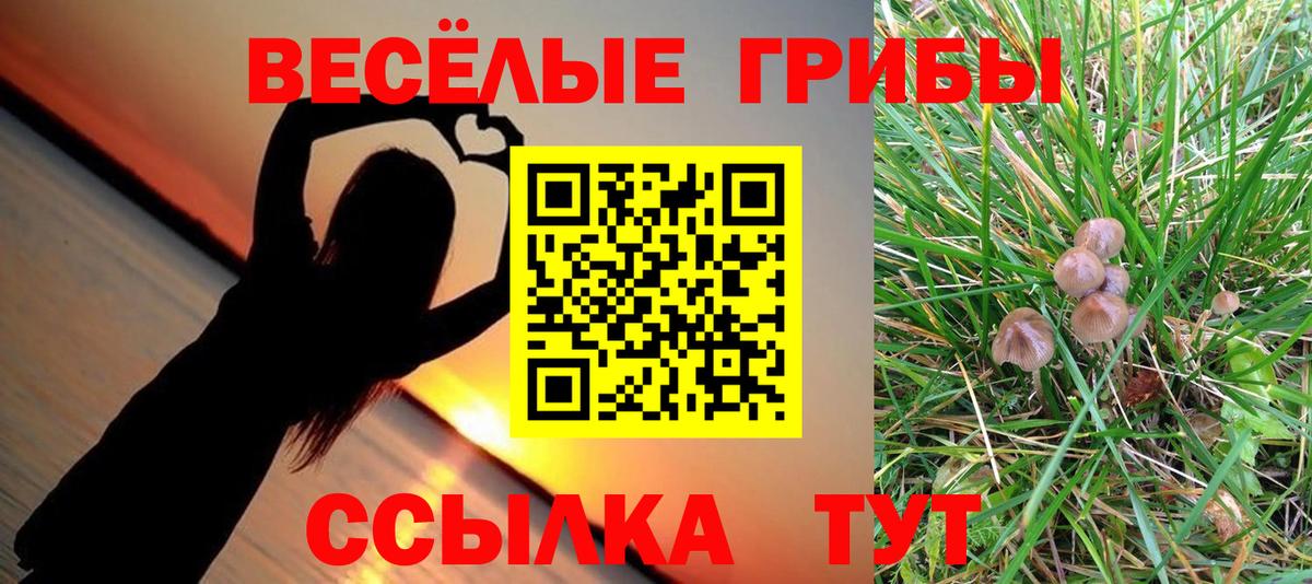 Ижевск  Галлюциногенные грибы GOLDEN TEACHER  Вход с VPN 